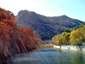 新門(mén)內(nèi)部資料大全免費(fèi)查詢(xún)：權(quán)威指南與高效獲取全解析