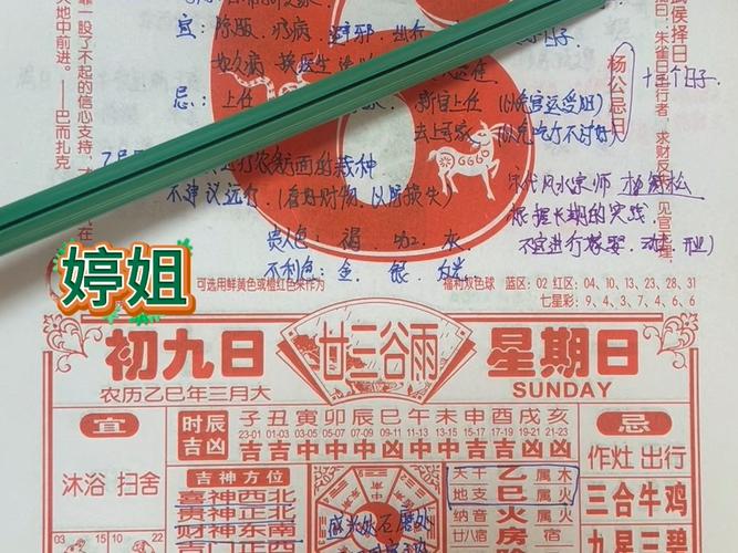 精準獲?。?025白小姐開獎結果查詢?nèi)ヂ耘c權威解讀