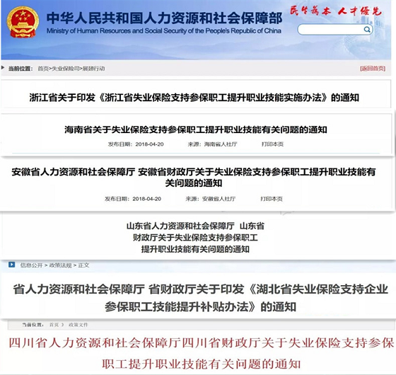 免費(fèi)公開資料大全:深度解析與高效利用的全攻略