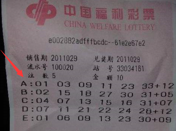 探秘王中王493333中特馬特色：數(shù)字謎團的邊境對話