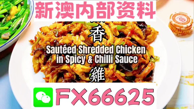 新奧精準(zhǔn)精選免費提供：深度解析其價值、獲取方法與應(yīng)用場景