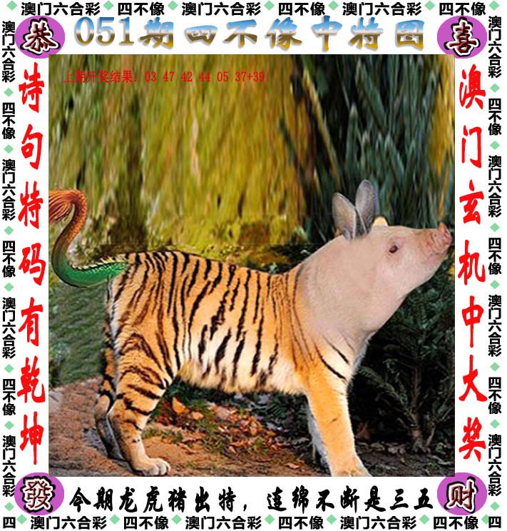 新澳門天天免費(fèi)謎語下一期深度解析:益智娛樂新趨勢與獲取攻略