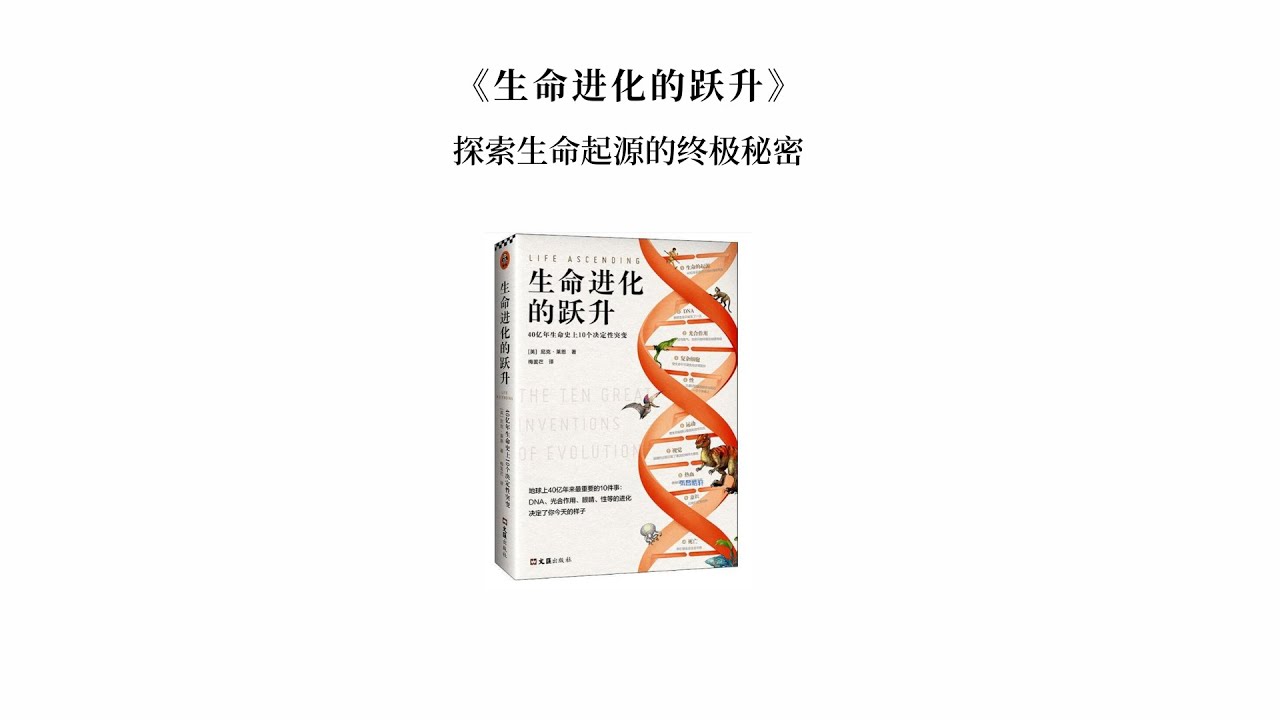 探秘?cái)?shù)字邊境：77777788888王中王與未來社會(huì)的深層博弈