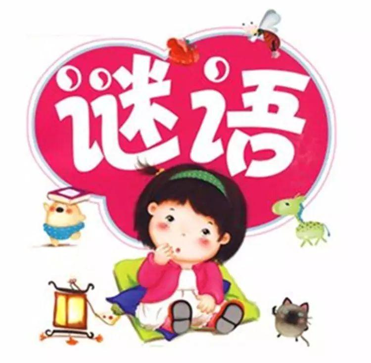 葡京巷陌奇遇：破解新澳門天天免費精準大全謎語的文化回響