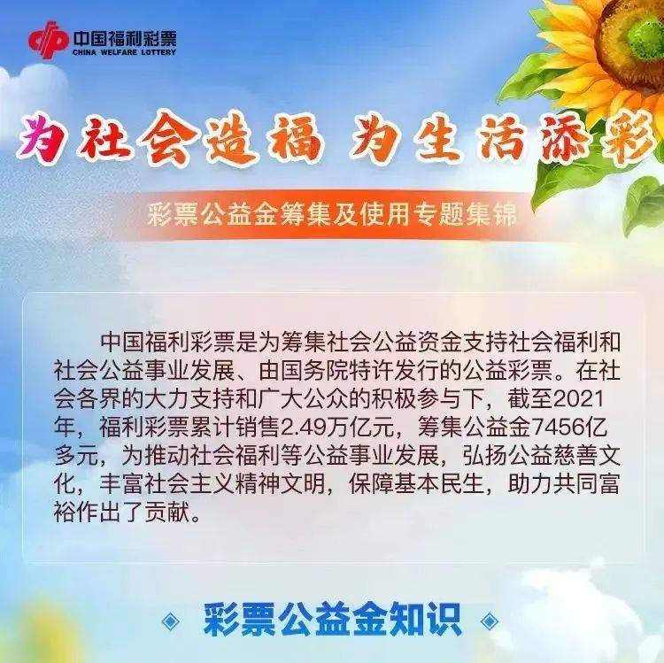 茶館奇遇：解碼‘天天彩好彩天天免費(fèi)資料’的都市回響與理性思考