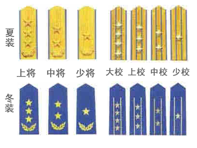 儀仗隊軍銜圖片大全：從士兵到將軍的榮譽之路深度解析