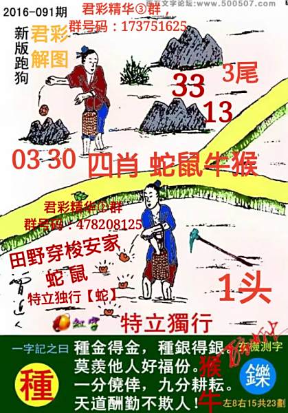 7777788888新版跑狗深度解析：掌握其背后邏輯與應用精要