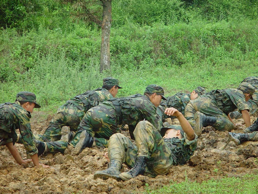 中國人民武裝部隊(duì)警察部隊(duì)內(nèi)衛(wèi)：深度解析其核心職能與國家安全基石