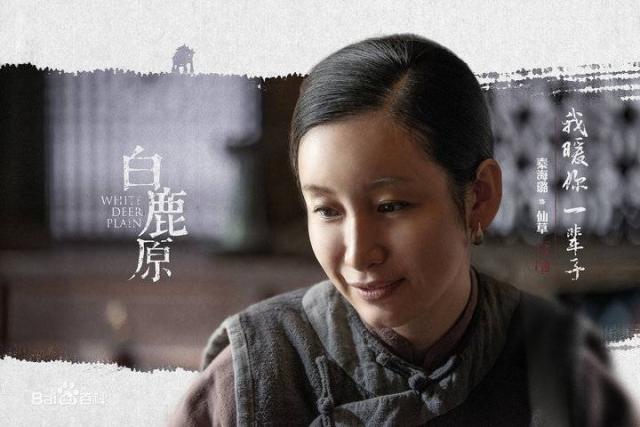 秦海璐演過哪些電視劇深度解析：盤點(diǎn)其經(jīng)典代表作與多樣化熒屏形象