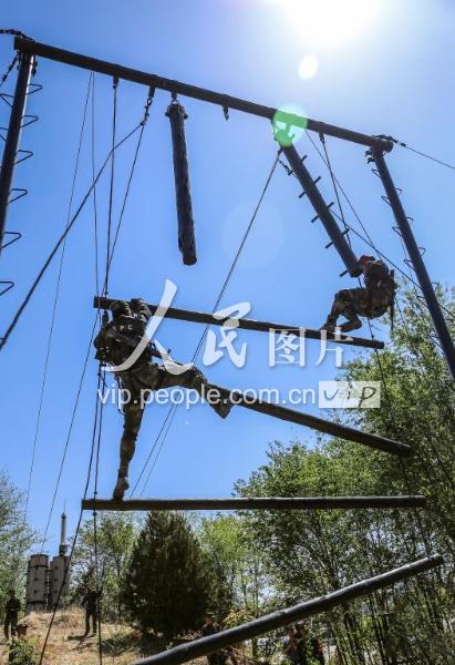 夢(mèng)想照進(jìn)現(xiàn)實(shí):那份沉甸甸的中國人民武裝警察部隊(duì)特種警察學(xué)院錄取通知書奇遇