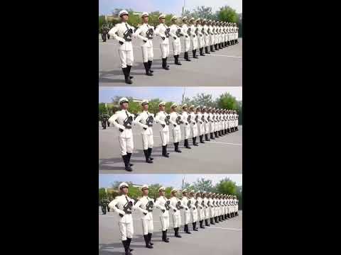 中國人民解放軍儀仗隊(duì)女兵方隊(duì):榮耀場景聚合下的多元力量特寫