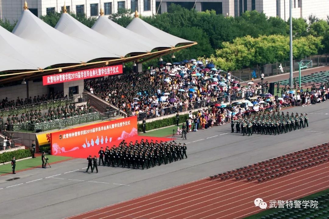 街角咖啡館里的思辨：中國人民武裝警察部隊特種警察學(xué)院出來是公務(wù)人員嗎？