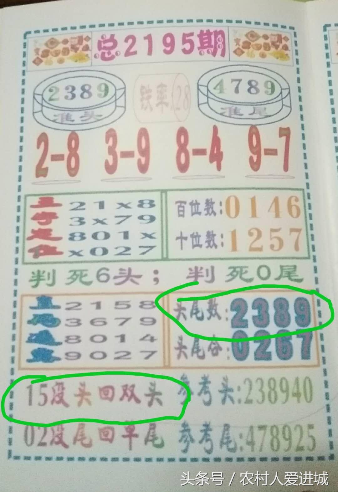 新澳門期期準免費期期準，探索與解析，澳門彩票期期準解析與探索