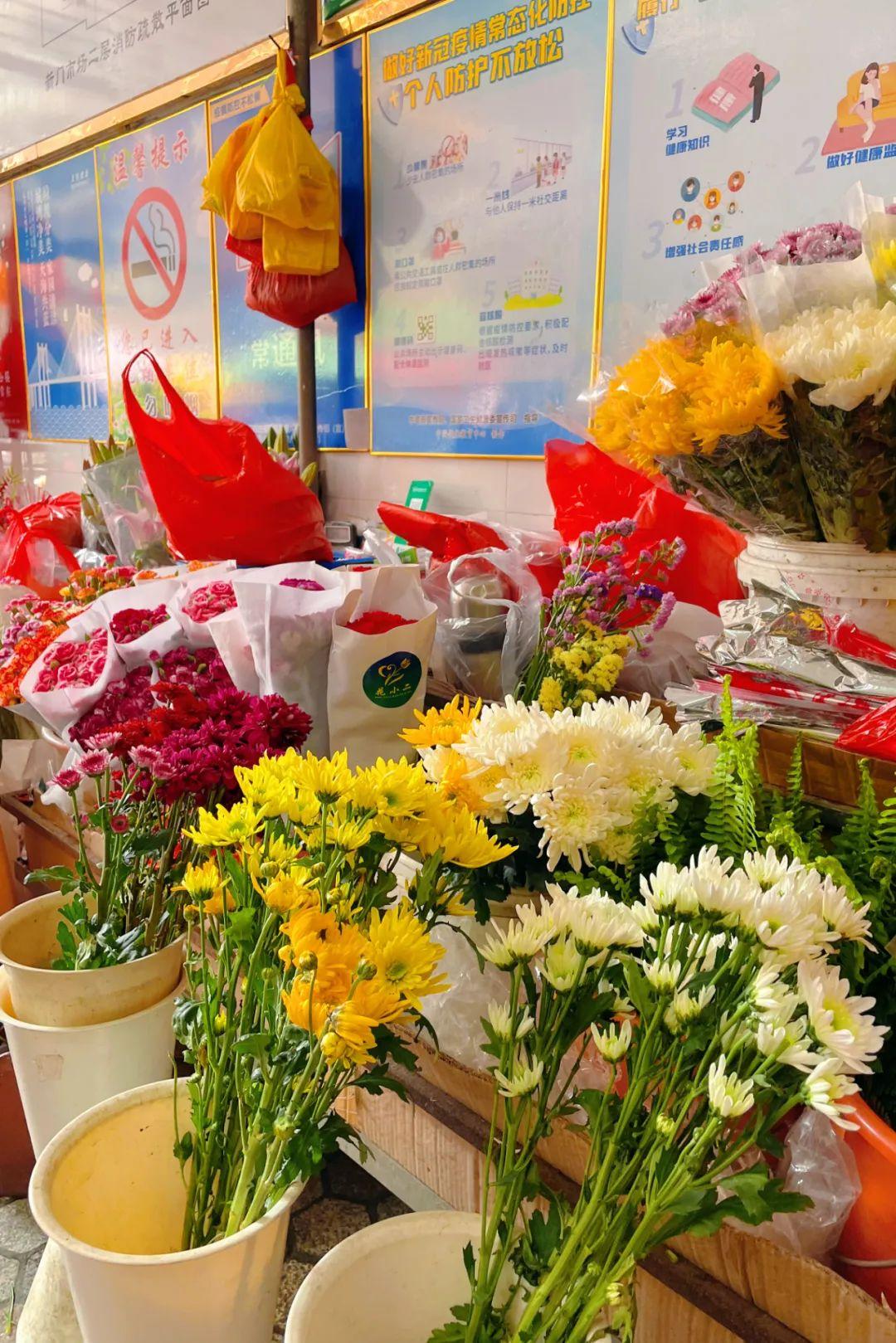 新門內(nèi)部資料最快更新，深度探索與前沿洞察，新門內(nèi)部資料更新速遞，深度探索與前沿洞察揭秘