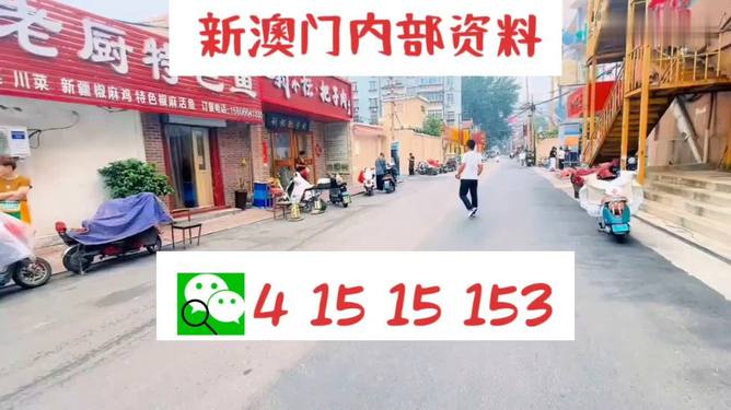 新澳門2025年天天開好彩，探索新澳的繁榮與發(fā)展之路，新澳門繁榮與發(fā)展之路，2025年天天開好彩展望
