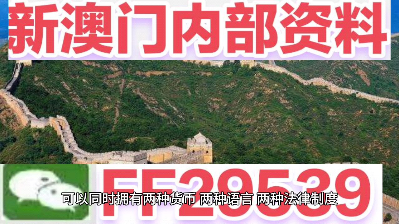 新澳門今晚開獎結(jié)果號碼查詢表，探索彩票世界的神秘面紗，新澳門今晚開獎結(jié)果號碼查詢表，揭開彩票世界的神秘面紗