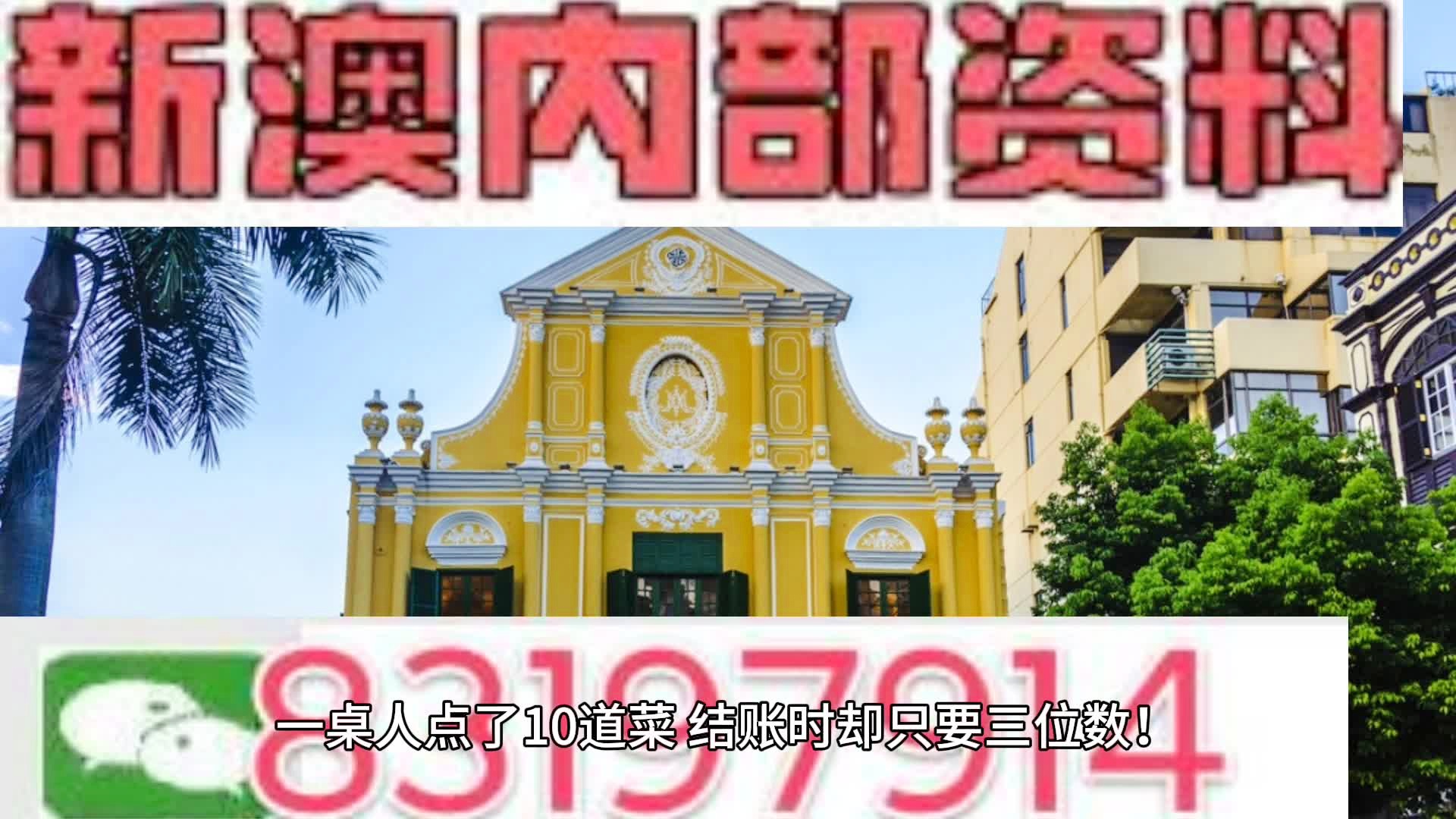 新門內(nèi)部資料大全免費查詢，探索與啟示，新門內(nèi)部資料免費探索，啟示與大全查詢