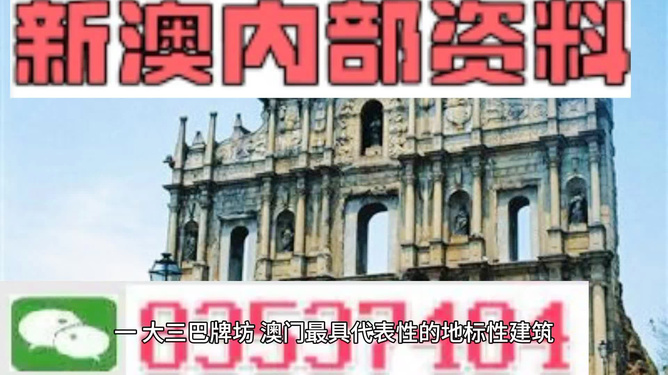 新門內(nèi)部資料大全免費(fèi)，探索與啟示，新門內(nèi)部資料免費(fèi)探索與啟示指南