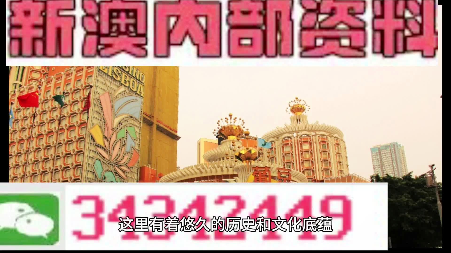 新門內(nèi)部免費(fèi)資料大全，探索與啟示，新門內(nèi)部資料探索與啟示，免費(fèi)資料大全
