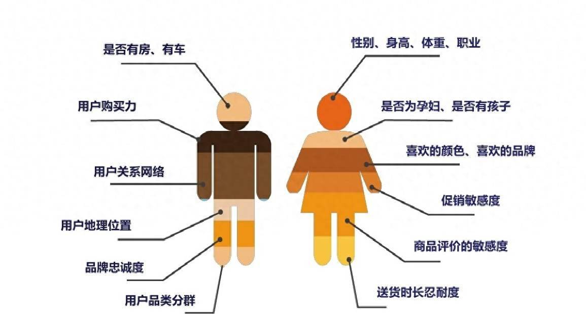 白小姐精準(zhǔn)免費四肖深度解析:探秘信息獲取與價值評估
