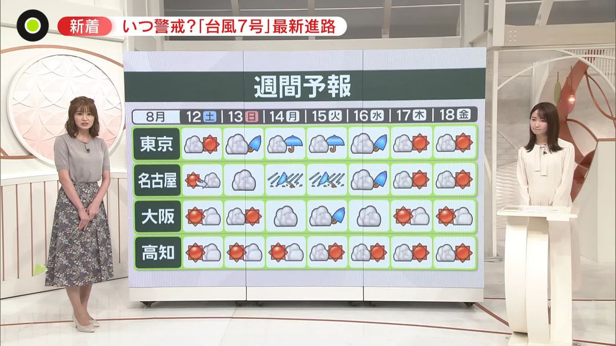 新澳天天開獎資料大全最新版:深度解析與實用獲取全攻略