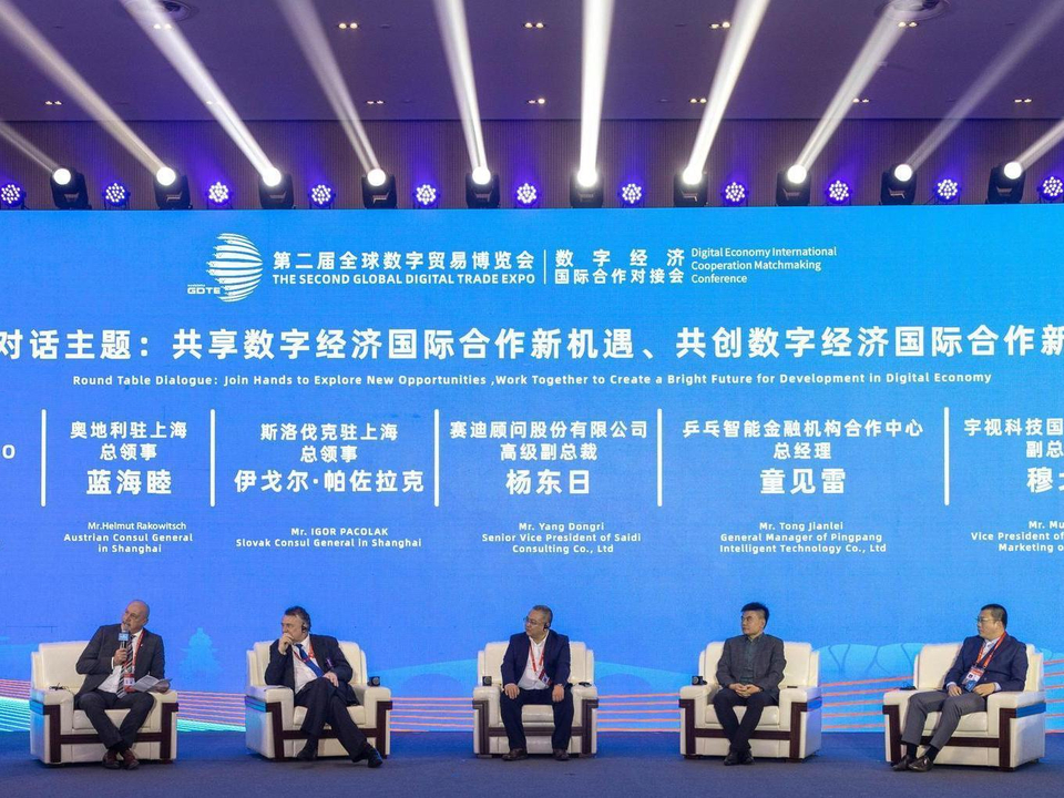 2025新澳期期期深度解析:洞察未來合作機(jī)遇與發(fā)展趨勢