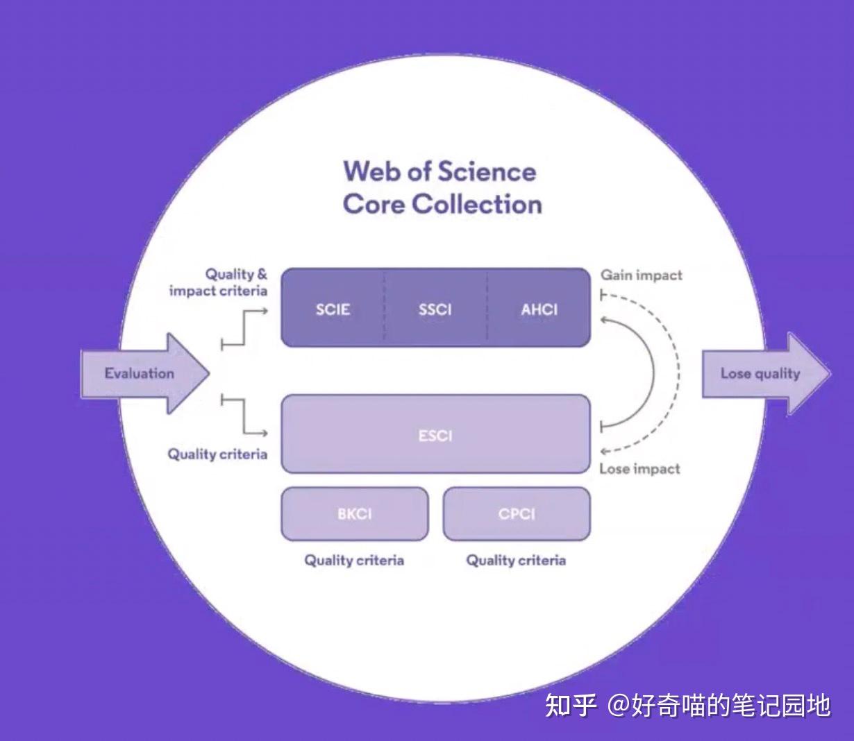 王中王493333中特大全:權(quán)威解讀與深度應(yīng)用全攻略